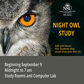 Night Owl Study