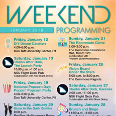 Weekend Programming January 2018