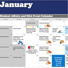 Palm Beach--January Calendar of Events