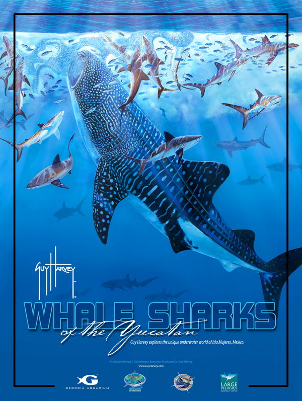 Guy Harvey's documentary--Whale Shark Poster