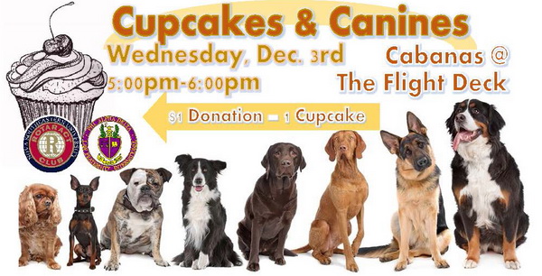 Cupcakes and Canines