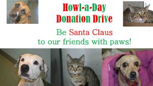 Howl-a-Day donation drive