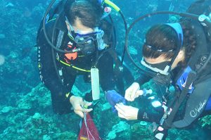Joe and Amanda underwater research