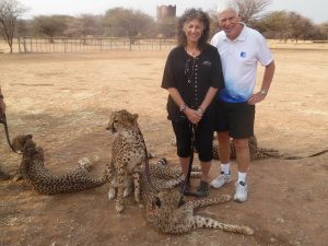 Steve O'Brien with cheetahs